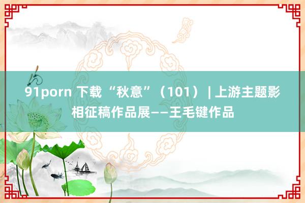 91porn 下载 “秋意”（101） | 上游主题影相征稿作品展——王毛键作品