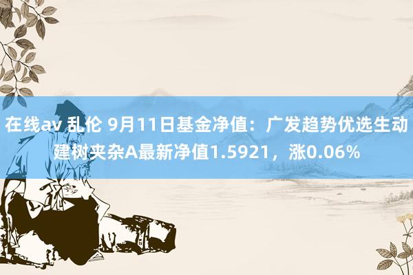 在线av 乱伦 9月11日基金净值：广发趋势优选生动建树夹杂A最新净值1.5921，涨0.06%