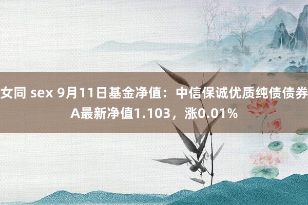 女同 sex 9月11日基金净值：中信保诚优质纯债债券A最新净值1.103，涨0.01%