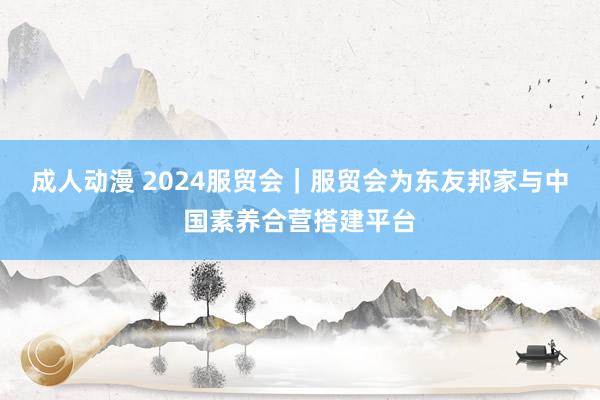 成人动漫 2024服贸会｜服贸会为东友邦家与中国素养合营搭建平台