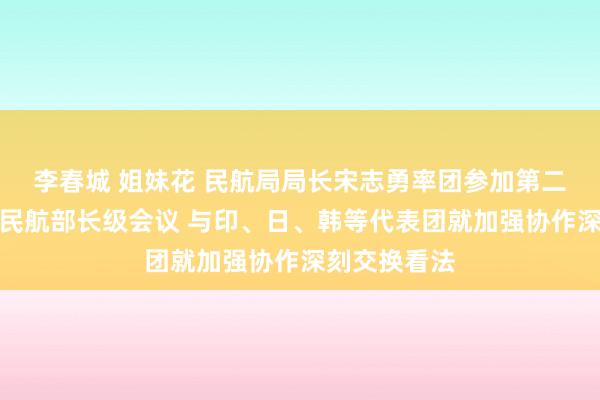 李春城 姐妹花 民航局局长宋志勇率团参加第二届亚太地区民航部长级会议 与印、日、韩等代表团就加强协作深刻交换看法