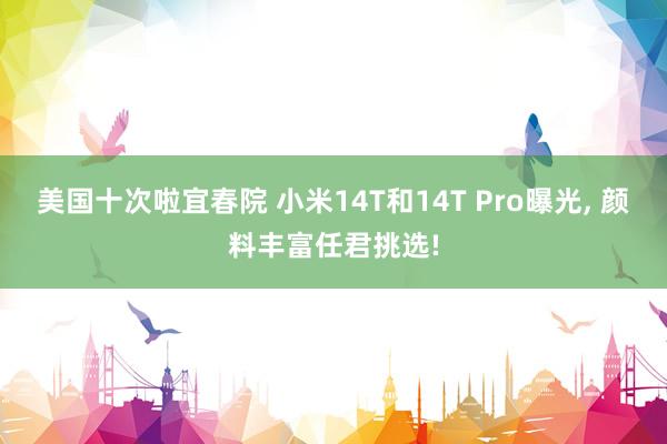 美国十次啦宜春院 小米14T和14T Pro曝光， 颜料丰富任君挑选!