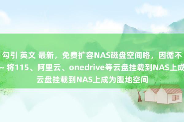 勾引 英文 最新，免费扩容NAS磁盘空间咯，因循不雅影、同步~ 将115、阿里云、onedrive等云盘挂载到NAS上成为腹地空间