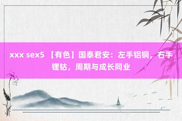 xxx sex5 【有色】国泰君安：左手铝铜，右手锂钴，周期与成长同业