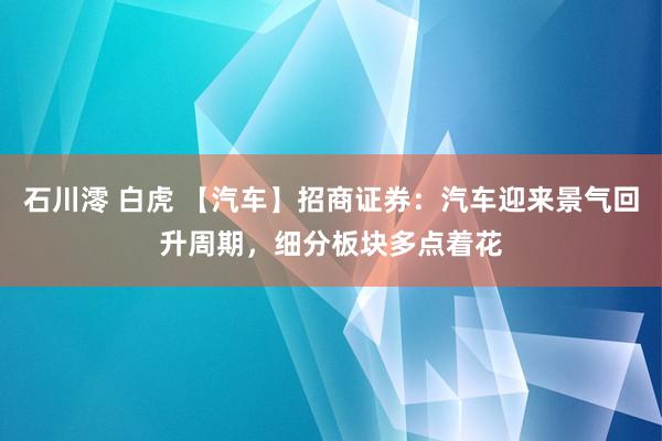 石川澪 白虎 【汽车】招商证券：汽车迎来景气回升周期，细分板块多点着花