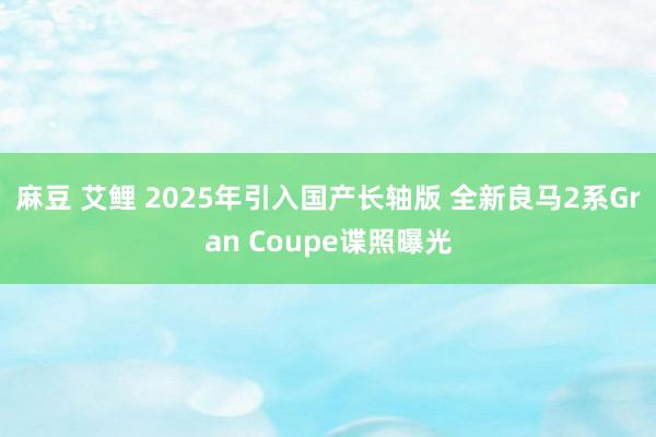 麻豆 艾鲤 2025年引入国产长轴版 全新良马2系Gran Coupe谍照曝光