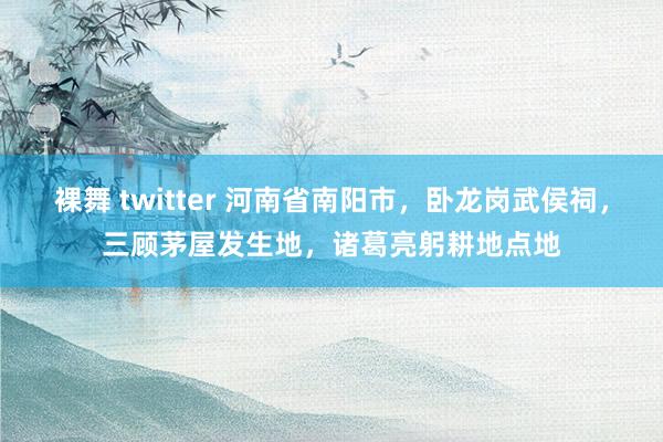 裸舞 twitter 河南省南阳市，卧龙岗武侯祠，三顾茅屋发生地，诸葛亮躬耕地点地