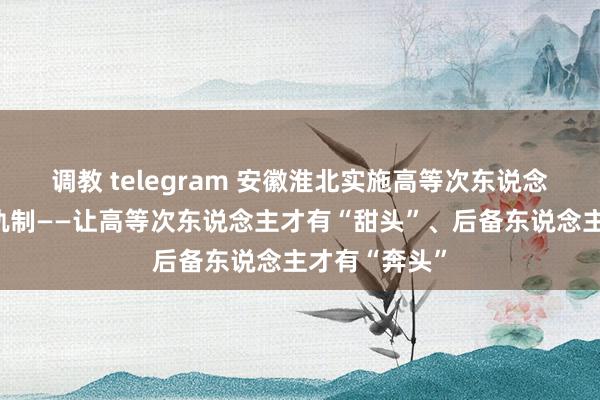 调教 telegram 安徽淮北实施高等次东说念主才储备金轨制——让高等次东说念主才有“甜头”、后备东说念主才有“奔头”