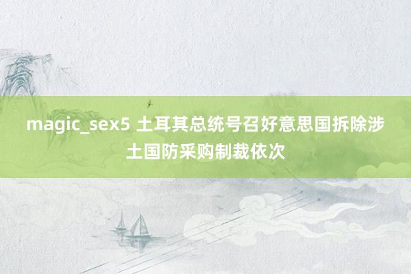 magic_sex5 土耳其总统号召好意思国拆除涉土国防采购制裁依次