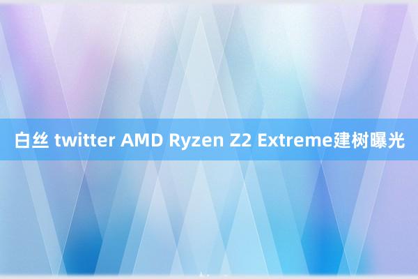 白丝 twitter AMD Ryzen Z2 Extreme建树曝光