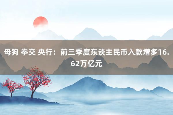 母狗 拳交 央行：前三季度东谈主民币入款增多16.62万亿元