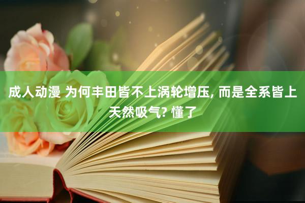 成人动漫 为何丰田皆不上涡轮增压， 而是全系皆上天然吸气? 懂了