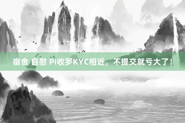 宿舍 自慰 Pi收罗KYC相近，不提交就亏大了！