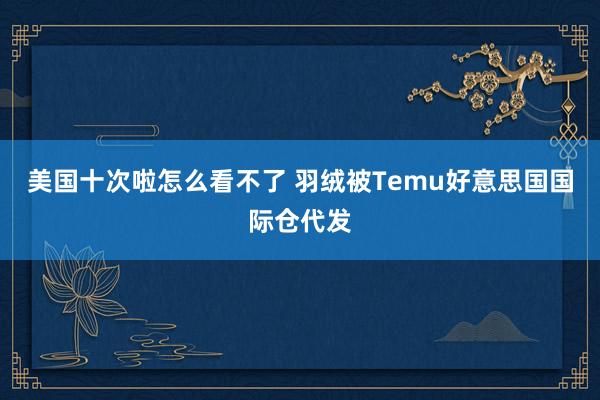 美国十次啦怎么看不了 羽绒被Temu好意思国国际仓代发