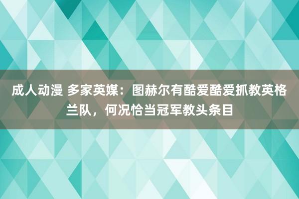 成人动漫 多家英媒：图赫尔有酷爱酷爱抓教英格兰队，何况恰当冠军教头条目