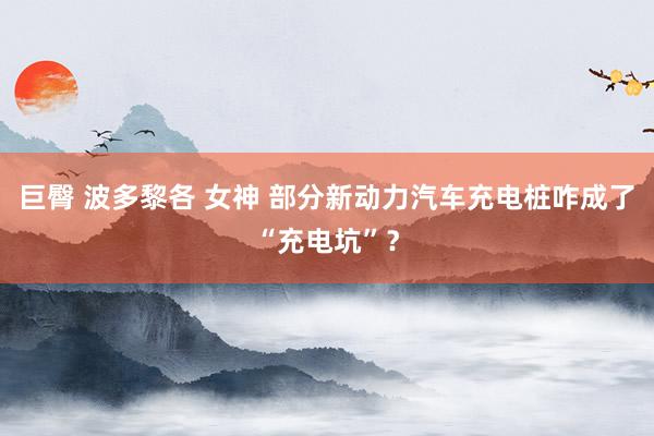 巨臀 波多黎各 女神 部分新动力汽车充电桩咋成了“充电坑”？