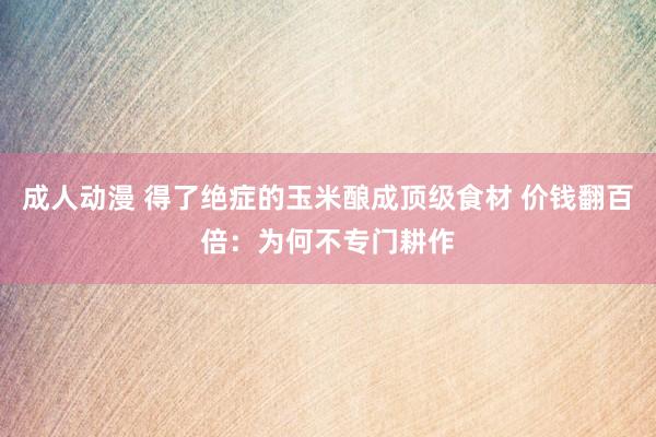 成人动漫 得了绝症的玉米酿成顶级食材 价钱翻百倍：为何不专门耕作