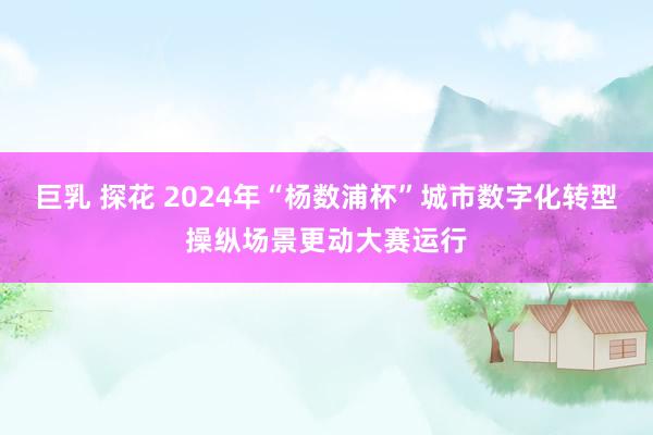 巨乳 探花 2024年“杨数浦杯”城市数字化转型操纵场景更动大赛运行