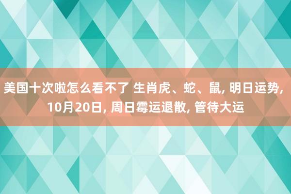 美国十次啦怎么看不了 生肖虎、蛇、鼠， 明日运势， 10月20日， 周日霉运退散， 管待大运