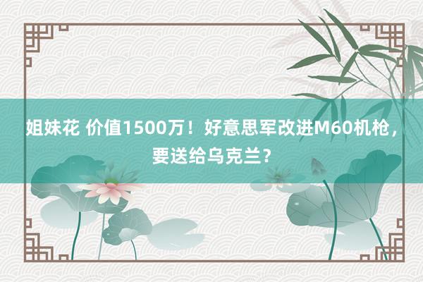 姐妹花 价值1500万！好意思军改进M60机枪，要送给乌克兰？