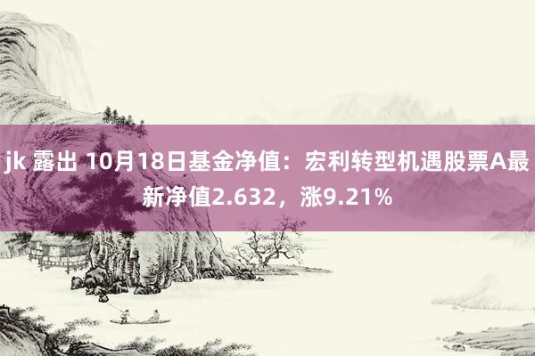 jk 露出 10月18日基金净值：宏利转型机遇股票A最新净值2.632，涨9.21%