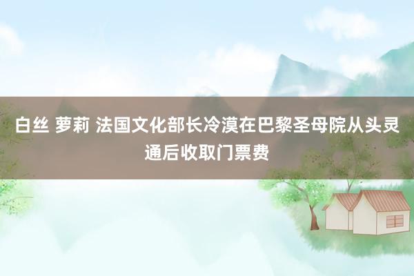 白丝 萝莉 法国文化部长冷漠在巴黎圣母院从头灵通后收取门票费