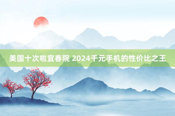 美国十次啦宜春院 2024千元手机的性价比之王