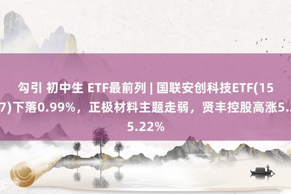 勾引 初中生 ETF最前列 | 国联安创科技ETF(159777)下落0.99%，正极材料主题走弱，贤丰控股高涨5.22%