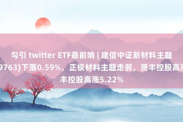 勾引 twitter ETF最前哨 | 建信中证新材料主题ETF(159763)下落0.59%，正极材料主题走弱，贤丰控股高涨5.22%