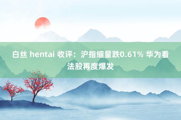 白丝 hentai 收评：沪指缩量跌0.61% 华为看法股再度爆发