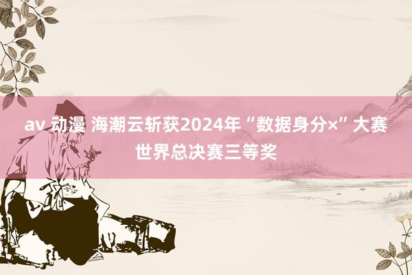 av 动漫 海潮云斩获2024年“数据身分×”大赛世界总决赛三等奖