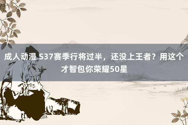 成人动漫 S37赛季行将过半，还没上王者？用这个才智包你荣耀50星