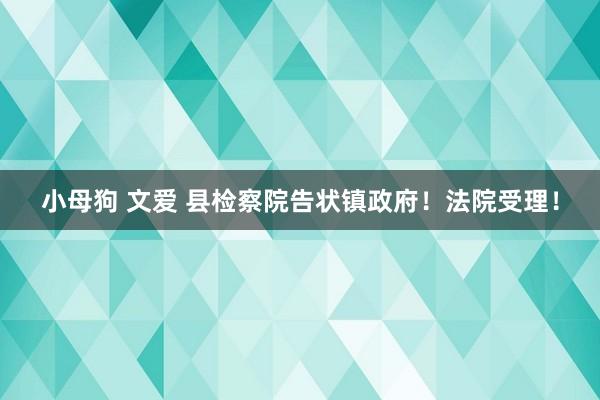 小母狗 文爱 县检察院告状镇政府！法院受理！