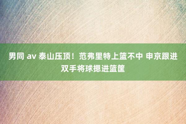 男同 av 泰山压顶！范弗里特上篮不中 申京跟进双手将球摁进篮筐