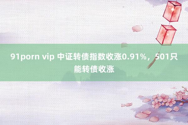 91porn vip 中证转债指数收涨0.91%，501只能转债收涨