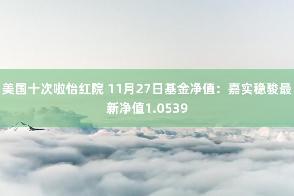 美国十次啦怡红院 11月27日基金净值：嘉实稳骏最新净值1.0539