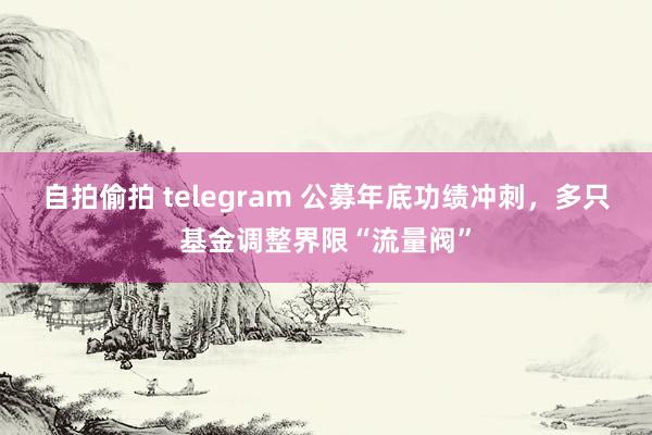 自拍偷拍 telegram 公募年底功绩冲刺，多只基金调整界限“流量阀”