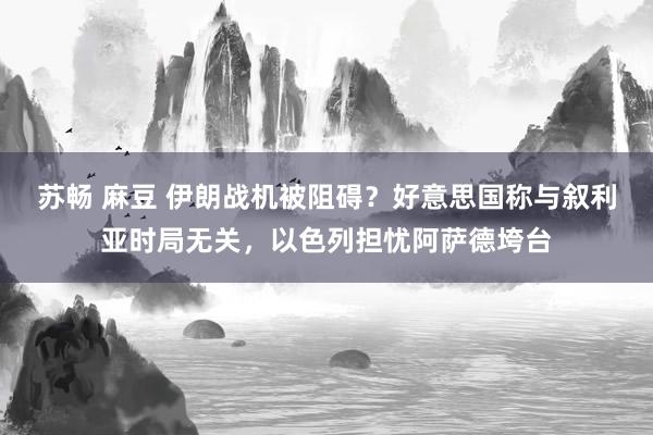 苏畅 麻豆 伊朗战机被阻碍？好意思国称与叙利亚时局无关，以色列担忧阿萨德垮台