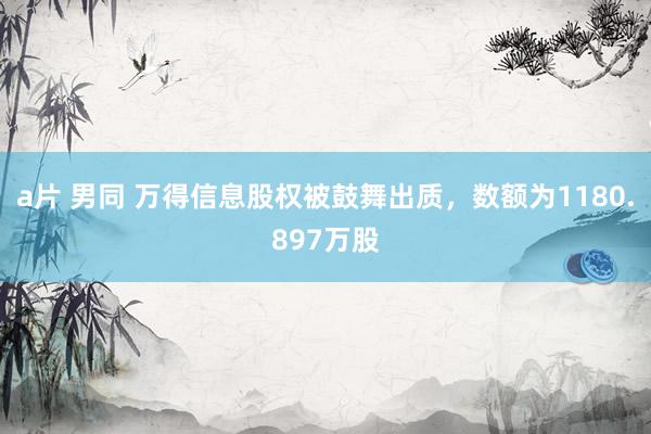 a片 男同 万得信息股权被鼓舞出质，数额为1180.897万股