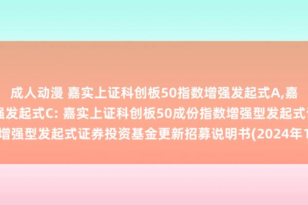 成人动漫 嘉实上证科创板50指数增强发起式A，嘉实上证科创板50指数增强发起式C: 嘉实上证科创板50成份指数增强型发起式证券投资基金更新招募说明书(2024年12月03日更新)