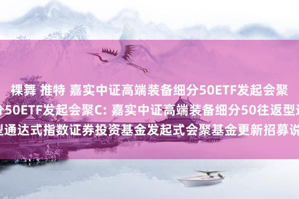 裸舞 推特 嘉实中证高端装备细分50ETF发起会聚A，嘉实中证高端装备细分50ETF发起会聚C: 嘉实中证高端装备细分50往返型通达式指数证券投资基金发起式会聚基金更新招募说明书(2024年12月03日更新)