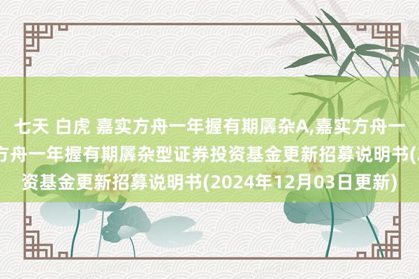 七天 白虎 嘉实方舟一年握有期羼杂A，嘉实方舟一年握有期羼杂C: 嘉实方舟一年握有期羼杂型证券投资基金更新招募说明书(2024年12月03日更新)