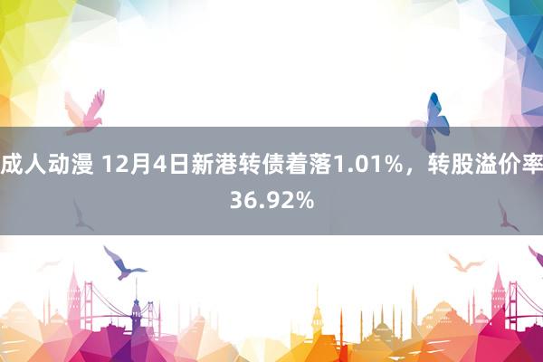 成人动漫 12月4日新港转债着落1.01%，转股溢价率36.92%