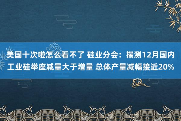 美国十次啦怎么看不了 硅业分会：揣测12月国内工业硅举座减量大于增量 总体产量减幅接近20%