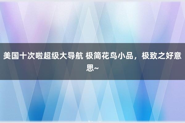 美国十次啦超级大导航 极简花鸟小品，极致之好意思~