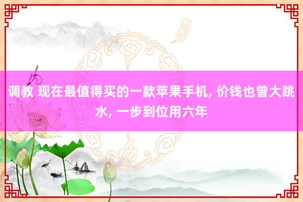 调教 现在最值得买的一款苹果手机， 价钱也曾大跳水， 一步到位用六年