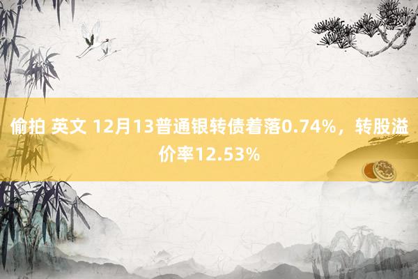 偷拍 英文 12月13普通银转债着落0.74%，转股溢价率12.53%