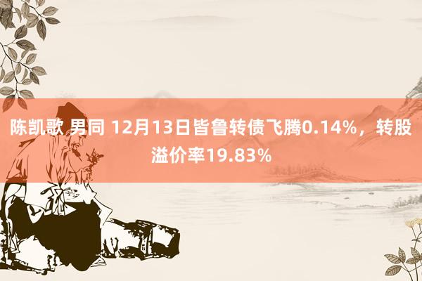 陈凯歌 男同 12月13日皆鲁转债飞腾0.14%，转股溢价率19.83%