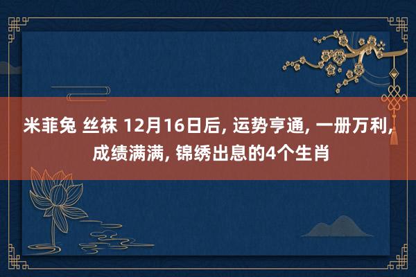 米菲兔 丝袜 12月16日后， 运势亨通， 一册万利， 成绩满满， 锦绣出息的4个生肖