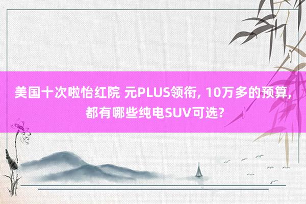 美国十次啦怡红院 元PLUS领衔， 10万多的预算， 都有哪些纯电SUV可选?